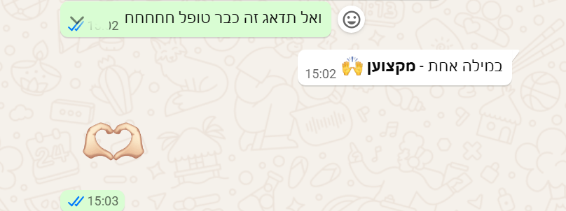 המלצה 2 על העבודה עם מאי רייזמן
